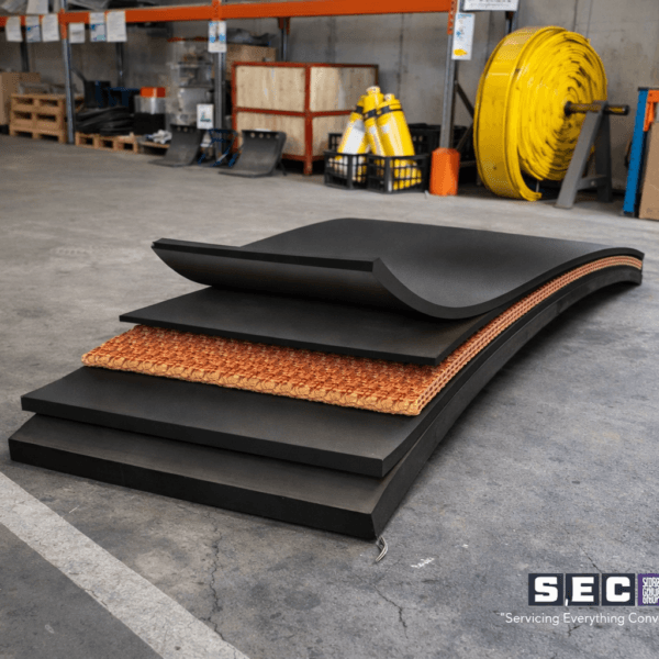 Carcasses and Reinforcement